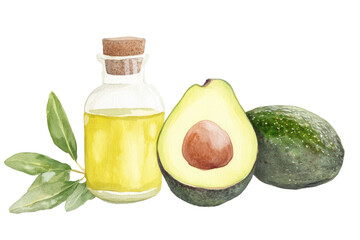 watercolor illustration of Fresh avocado with oil in a rustic setting, isolated on a white background.