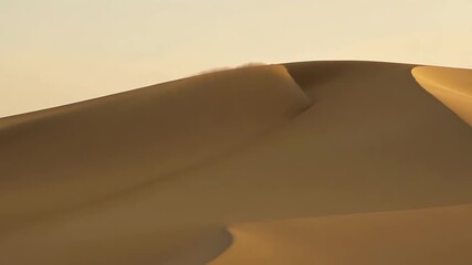 Wall Mural - the desert sun casts shadows on rolling sand dunes, creating a serene landscape. the golden light hi