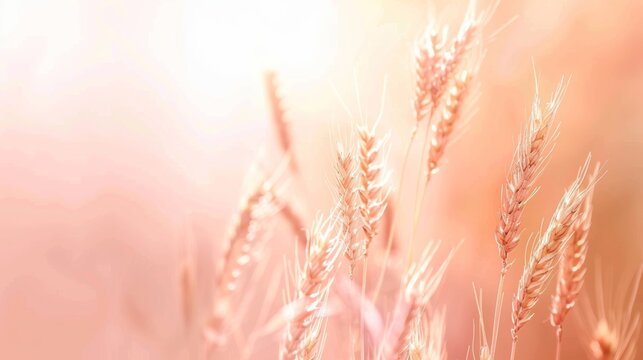 A modern and colorful horizontal header design featuring tan, taupe and wheat. Graphic with space for text or image. Can be used as a header.