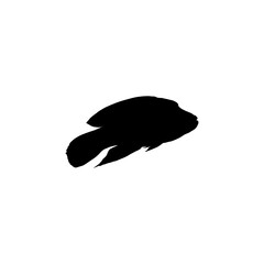 Wall Mural - Silhouette of the The Humphead wrasse (Cheilinus undulatus), also known as the Māori wrasse, Napoleon wrasse, Napoleon fish. Flat Style, can use for Logo Gram, Animal Illustration, Pictogram, ect