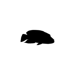 Wall Mural - Silhouette of the The Humphead wrasse (Cheilinus undulatus), also known as the Māori wrasse, Napoleon wrasse, Napoleon fish. Flat Style, can use for Logo Gram, Animal Illustration, Pictogram, ect