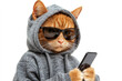 © sergign - A humorous image of a cat dressed in a gray hoodie while holding a smartphone. Captures a modern-day, relatable and funny scenario.