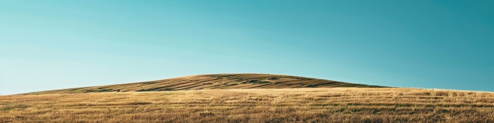 Poster - Minimalist hills covered in stubble with a clear sky above.