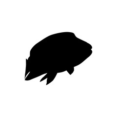 Wall Mural - Silhouette of the The Humphead wrasse (Cheilinus undulatus), also known as the Māori wrasse, Napoleon wrasse, Napoleon fish. Flat Style, can use for Logo Gram, Animal Illustration, Pictogram, ect