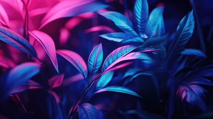 Poster - Pink and blue leafed plant