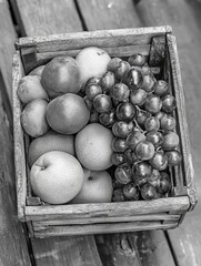 Canvas Print - Fruit Box Variety