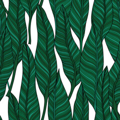 Wall Mural - Seamless pattern with hand drawn tropical leaves. Illustration  isolated on white.