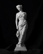 © ConsumerInsights - statue of the Venus de Milo goddess