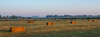 © ahavelaar - early morning sun on hay bales in ooijpolder near nijmegen in the netherlands