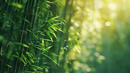 Poster - Bamboo forestgreen nature background : Generative AI