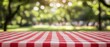 © raja - Red and White Checkered Picnic Tablecloth with Blurred Green Park Background
