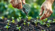 © Pixel Prophet - Hand pouring soil checking quality prepare growing seedling at home garden isolated with white highlights, png