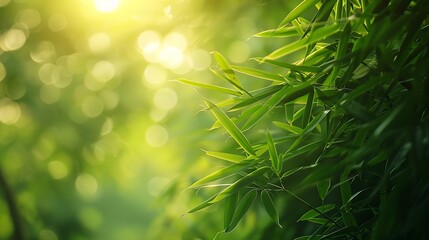 Poster - Bamboo forestgreen nature background : Generative AI
