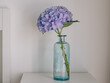 © by Natallia - Delicate purple hydrangea in a blue vase on a light background