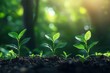 © ImagePulse - Conceptual image of a diversified portfolio growing in harmony with financial trends, market dynamics, investment strategy