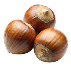 Hazelnut isolated on transparent background png
