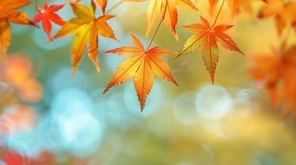 Poster - Colorful leaves in autumn park Japan : Generative AI