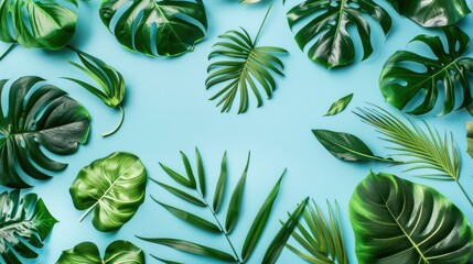 Flat lay of various tropical green leaves, including monstera and palm, arranged on a light blue background. The fresh green foliage contrasts beautifully with the soft blue backdrop