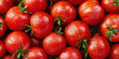© julijadmi - Food banner with fresh, ripe tomatoes with water droplets.