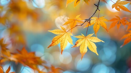 Poster - Colorful leaves in autumn park Japan : Generative AI