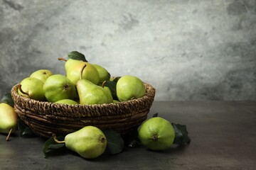 Wall Mural - Many fresh ripe pears on grey table. Space for text