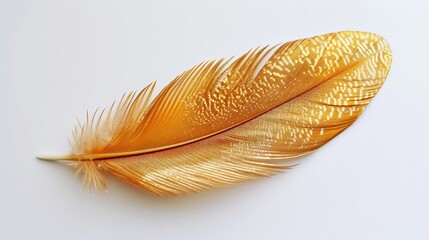 Shiny stylish golden feather on white background top view : Generative AI