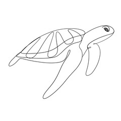 turtle line art