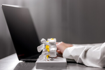 A physiotherapist studies and enters data on a laptop in their office, with a spine model nearby. Perfect for illustrating modern healthcare, professional consultation, and personalized patient care.