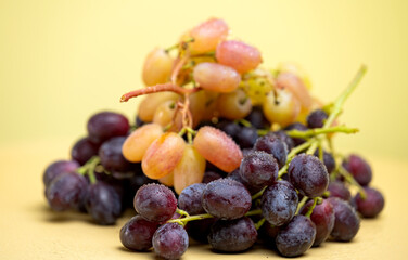 Wall Mural - bunches of grapes