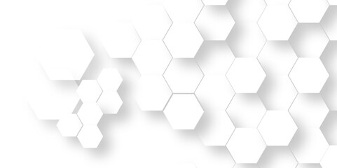 Wall Mural - Abstract White Hexagonal Background. Luxury White Pattern. Vector Illustration. 3D Futuristic abstract honeycomb mosaic white background. geometric mesh cell texture. modern futuristic wallpaper.