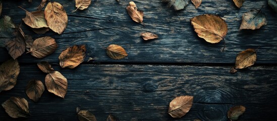 Poster - Leaves on a wooden surface with copy space