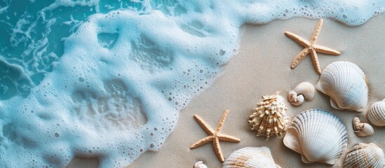 Poster - Beach setting featuring shells and starfish Vacation theme Top view. with copy space image. Place for adding text or design