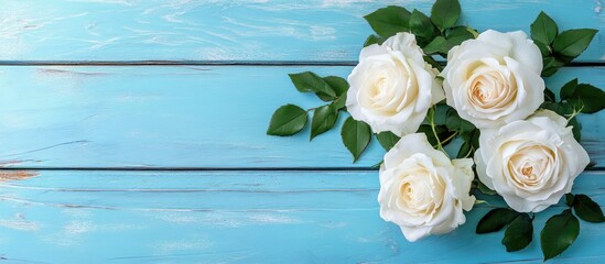 Poster - Top view of lovely white roses on a blue wooden surface. with copy space image. Place for adding text or design