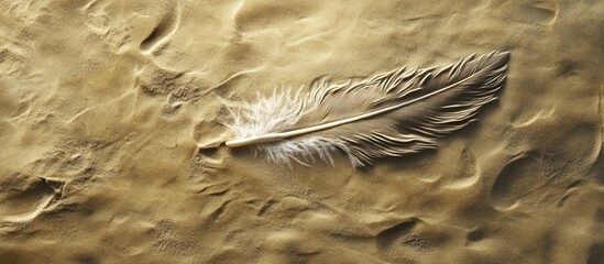 Poster - A feather is created on the sand Sand drawings Design featuring copy space Viewed from above