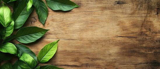 Poster - Leaves on a wooden surface with copy space