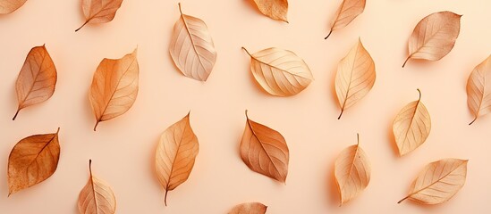 Poster - Autumn leaves in a dried state on a pastel background Flat lay top view copy space