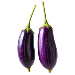 Two Fresh Purple Eggplants  isolated on transparent background