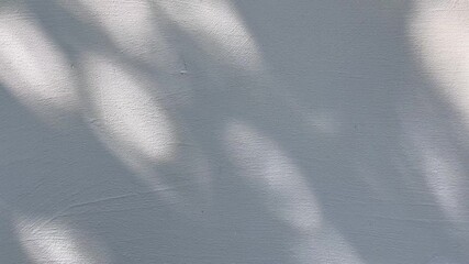 Wall Mural - light and shadow on a grey wall background