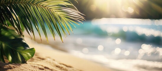 Aufkleber - Blurred beautiful green palm leaves on a tropical beach with bokeh sunlight and waves create an abstract background Copy space for summer vacation and business travel concepts Vintage tone filter eff