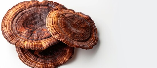 Sticker - Dried slices of lingzhi mushrooms on a white background Copy space