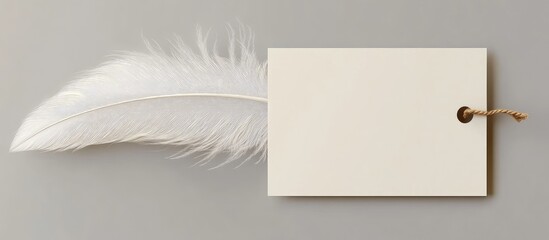 Poster - Blank space paper tag with a feather for your own copyspace