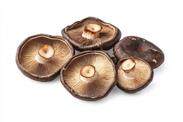 Wall Mural - Brown mushroom pile with half slice isolated on background, food ingredients flying through the air.