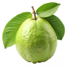 Poster - Pink guava isolated on transparent png