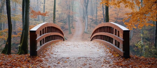 Aufkleber - Pedestrian bridge along a path in an autumn forest Natural backdrop with copyspace for text or lettering