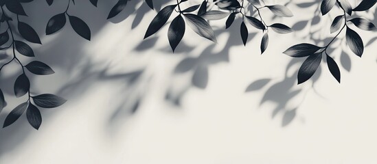 Leinwandbilder - Blurry shadows of tree leaves on a light gray background. with copy space image. Place for adding text or design