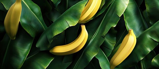 Fototapete - green natural backdrop banana tropical yellow foliage. with copy space image. Place for adding text or design