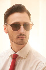 Poster - brunet man in sunglasses