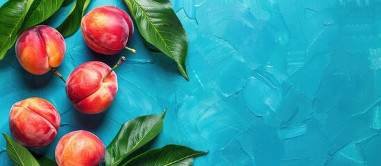 Poster - Ripe nectarine with leaves set against a blue background providing copy space for your text Top view Flat lay arrangement