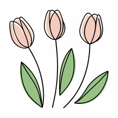 Tulips in line art style on a isolated white background (2)