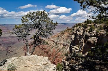 U.S.A. Arizona, Grand Canyon National Park